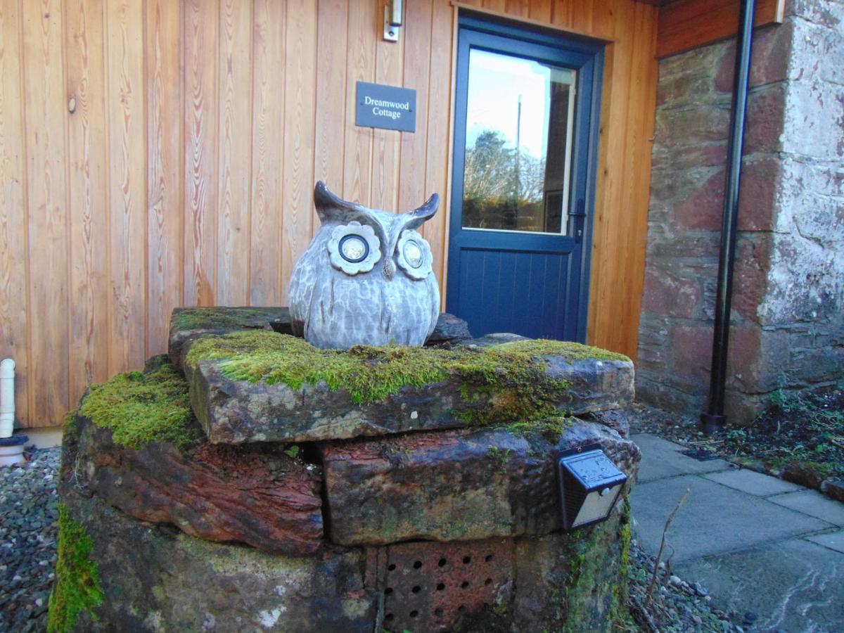 Dreamwood Cottage, Loch Lomond, Luxury Apartment. Glasgow Exterior photo